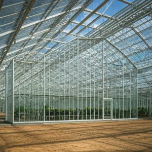 Venlo Greenhouse Pro