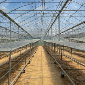 MaxiSpace Rolling Benches